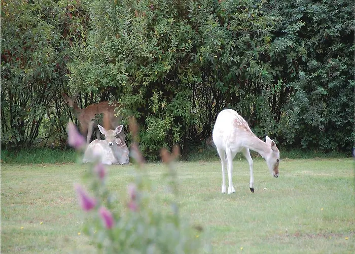 Soren Lassens Vaenge Denm Сasa de vacaciones Blåvand